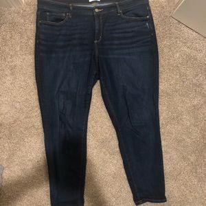 Loft Plus Jeans